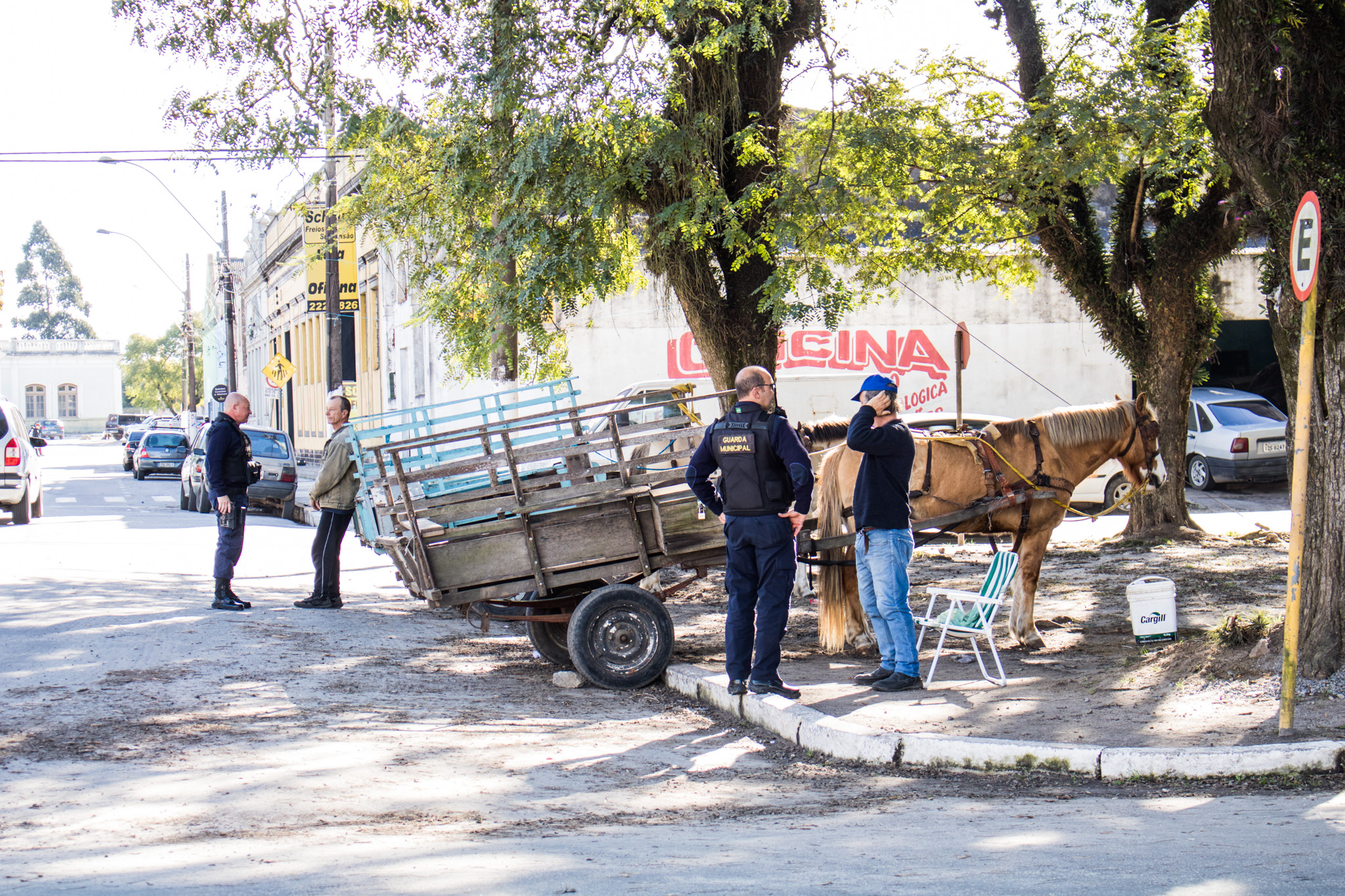 Dez veículos e cavalos foram abordados para verificação das condições de saúde do animal e situação das carroças