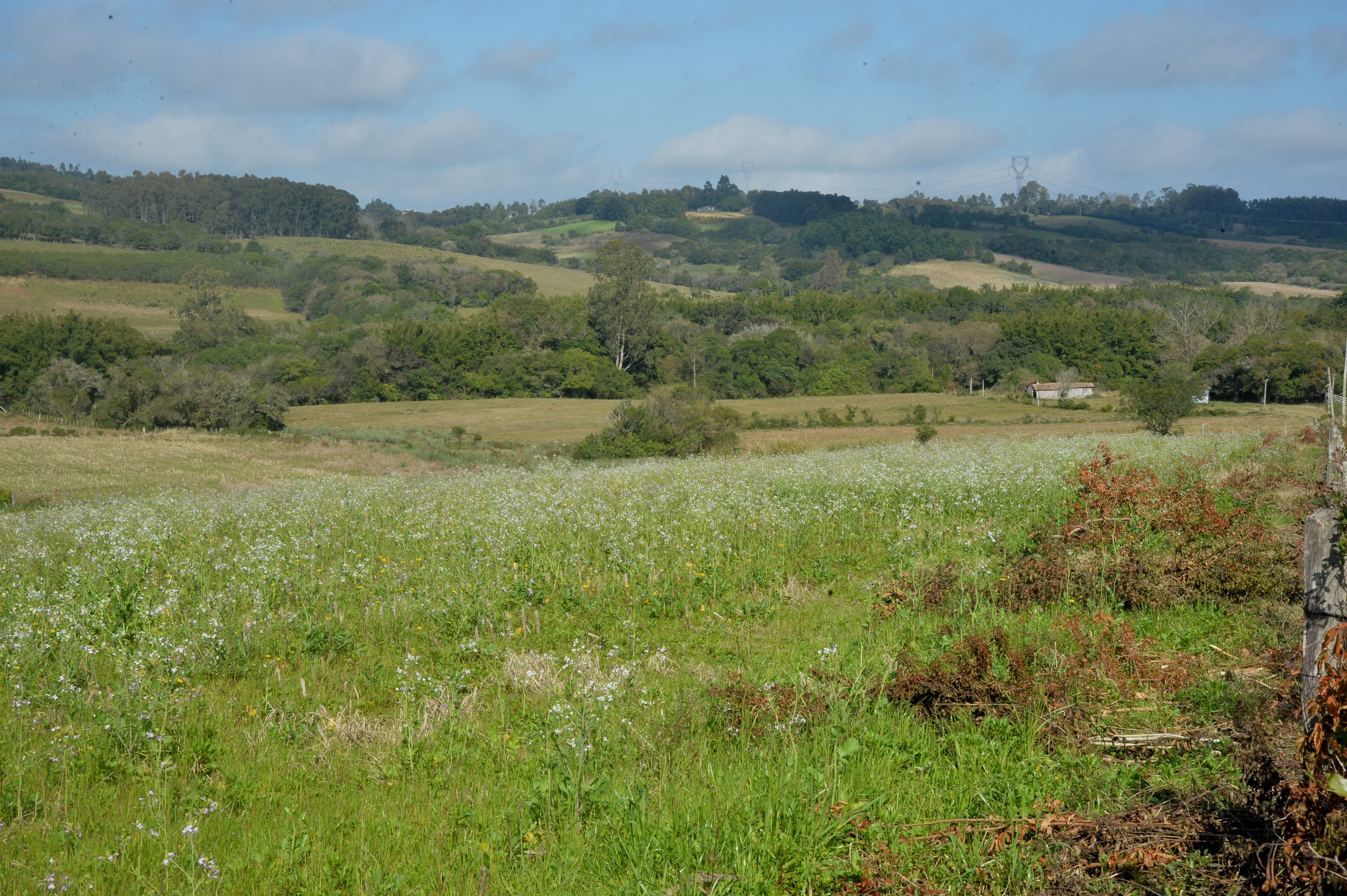 Campings e café colonial dispõem de infraestrutura planejada em meio à natureza