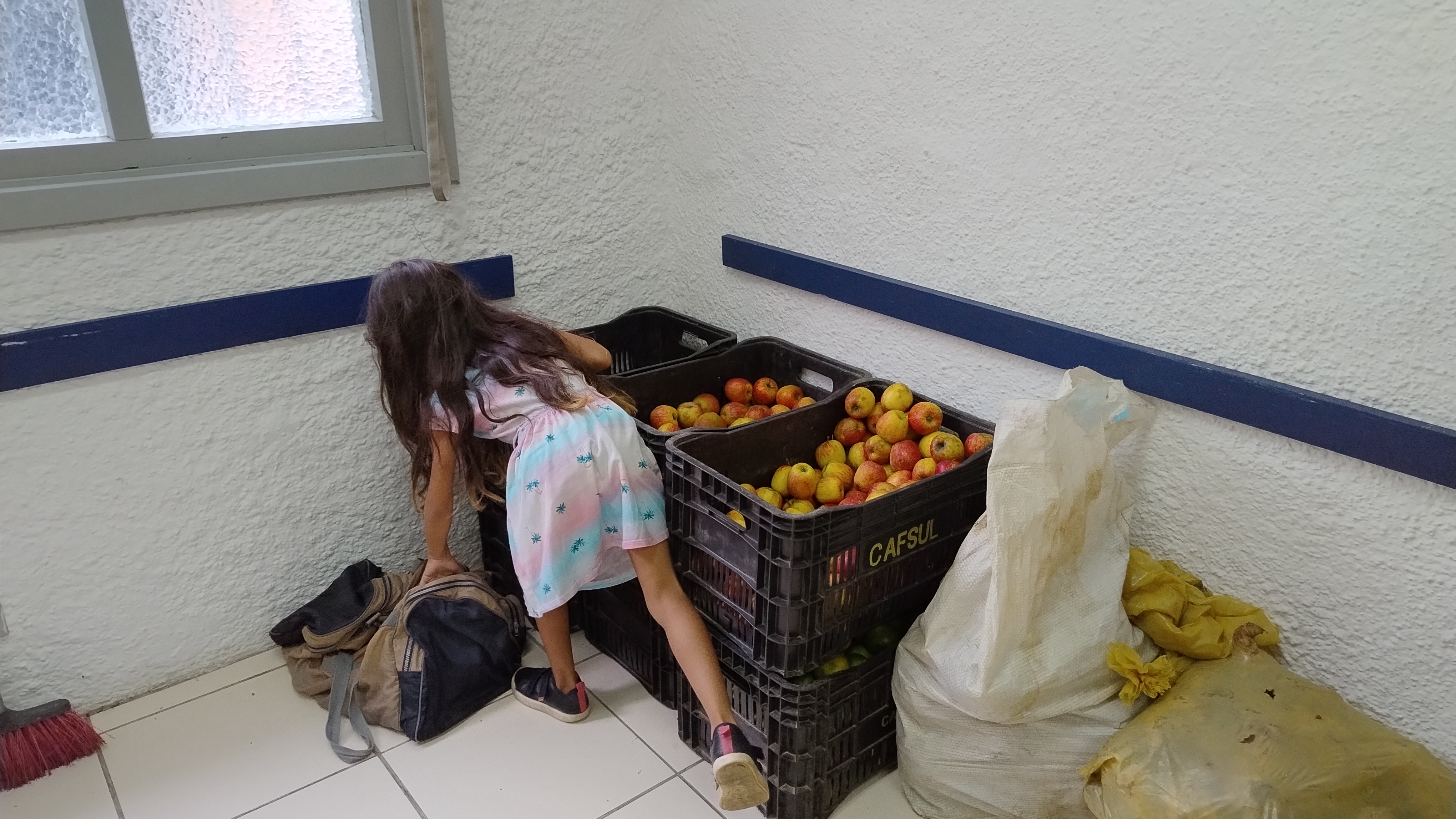 Pelo menos 60 famílias de cada região devem receber os alimentos