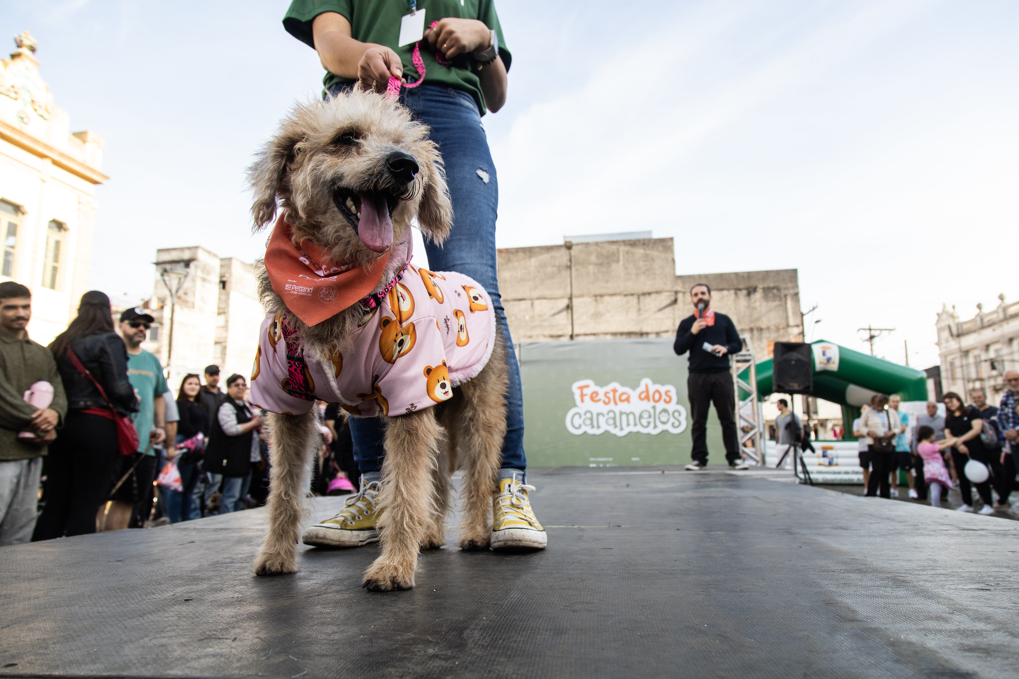 Atividade busca impulsionar as adoções responsáveis de cães do Canil Municipal