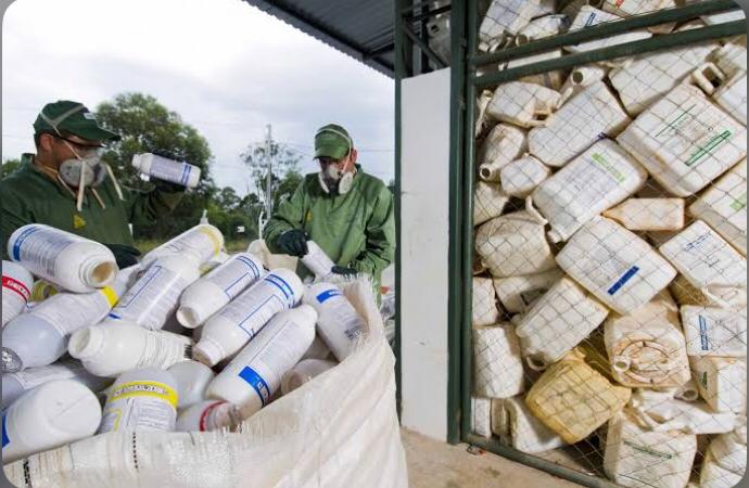Agricultores devem preparar o material de acordo com as regras estabelecidas para o descarte