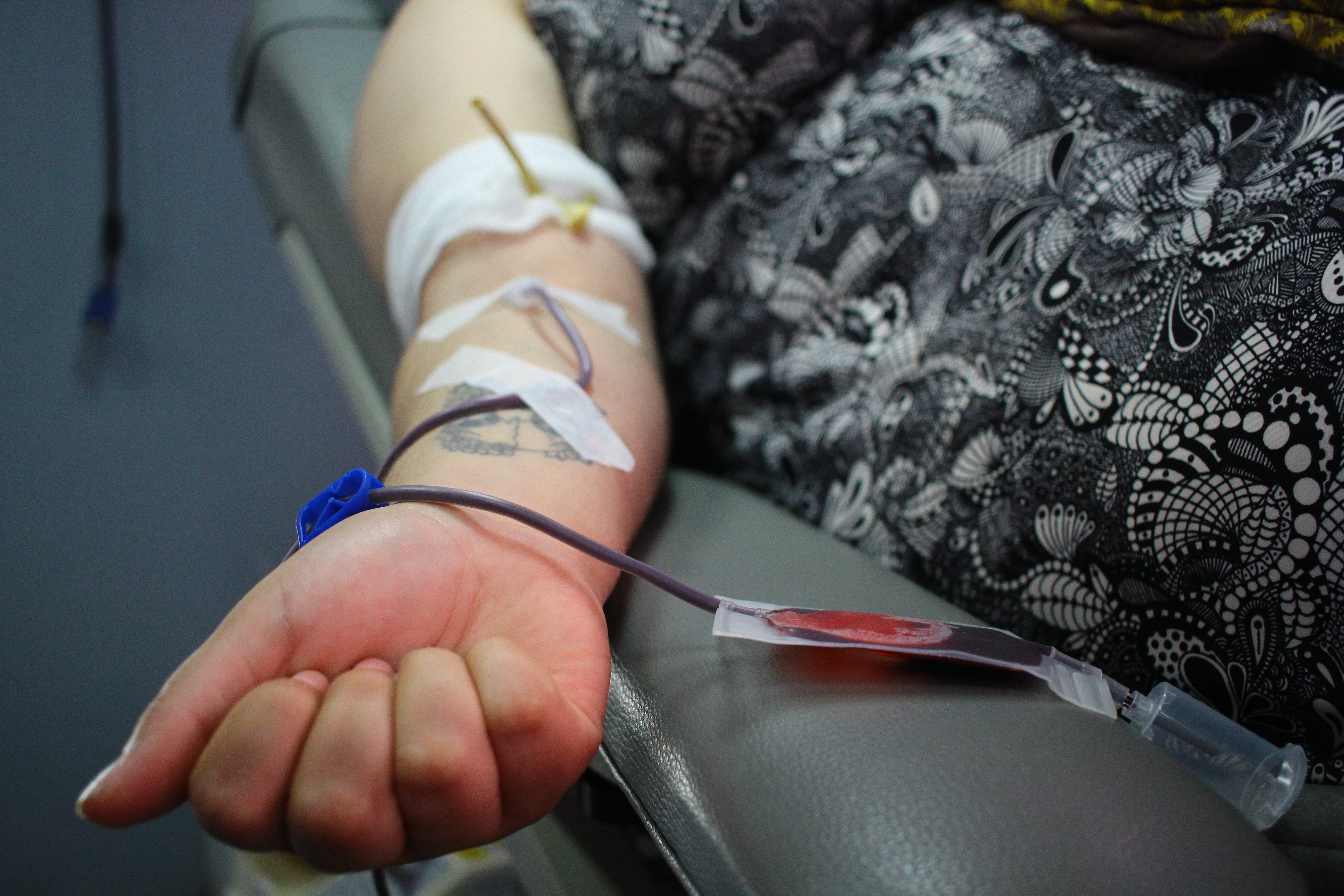 Devido a uma capacitação, nesta quarta-feira (28), Hemopel abrirá das 8h às 12h. Nos demais dias e horário de funcionamento, será normal