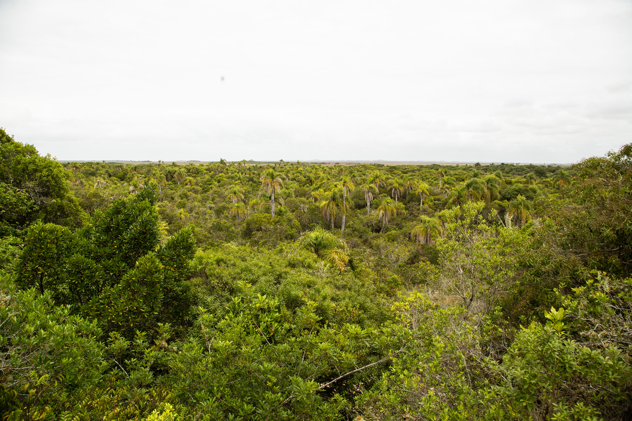 Programação das atividades conta, ainda, com criação de Comissão de Mudanças Climáticas e Adesão à Agenda Ambiental do governo federal
