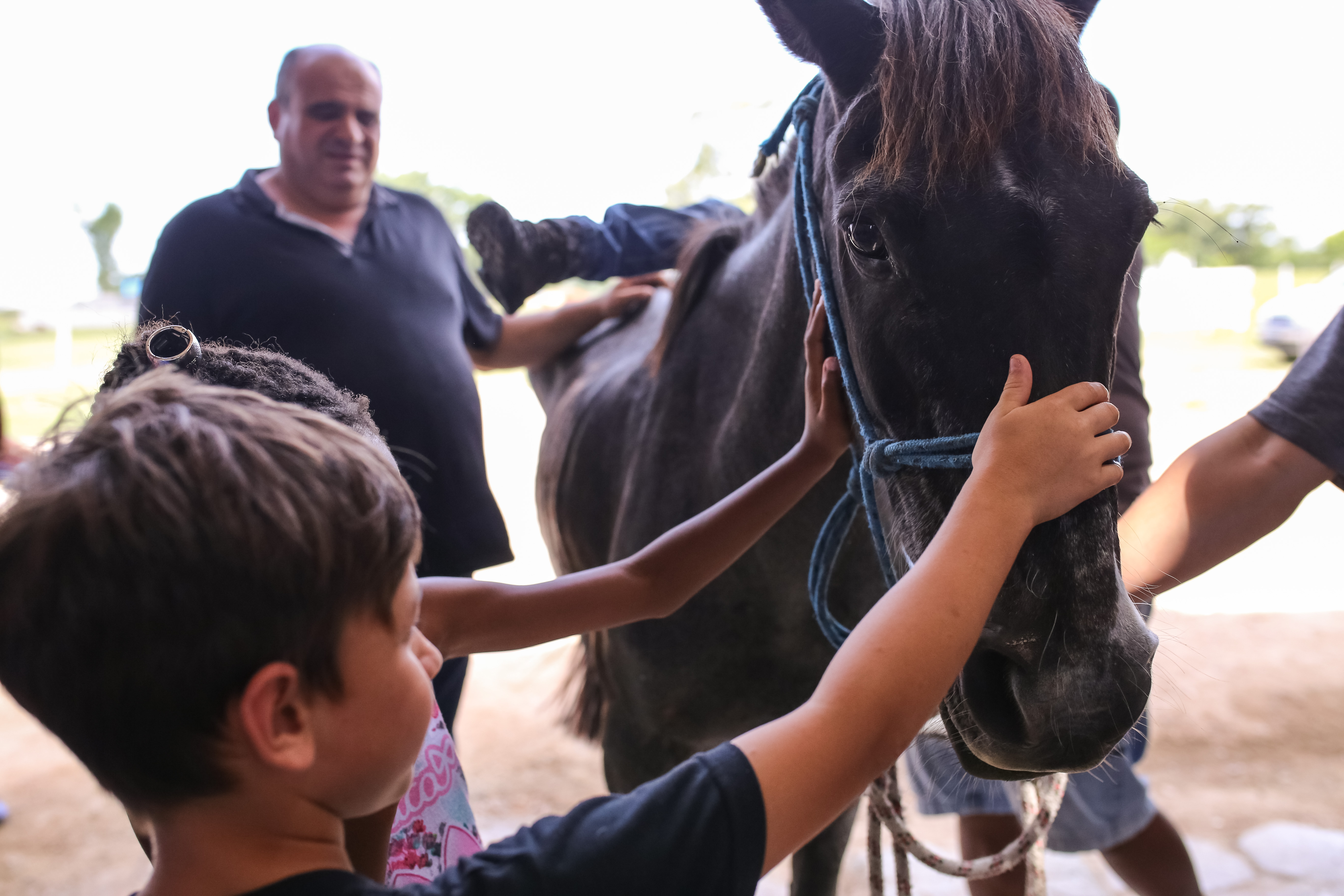 Estudantes tiveram contato com cavalos, porcos e ovelhas. Atividade fez parte da programação da 1ª Semana da Proteção Animal