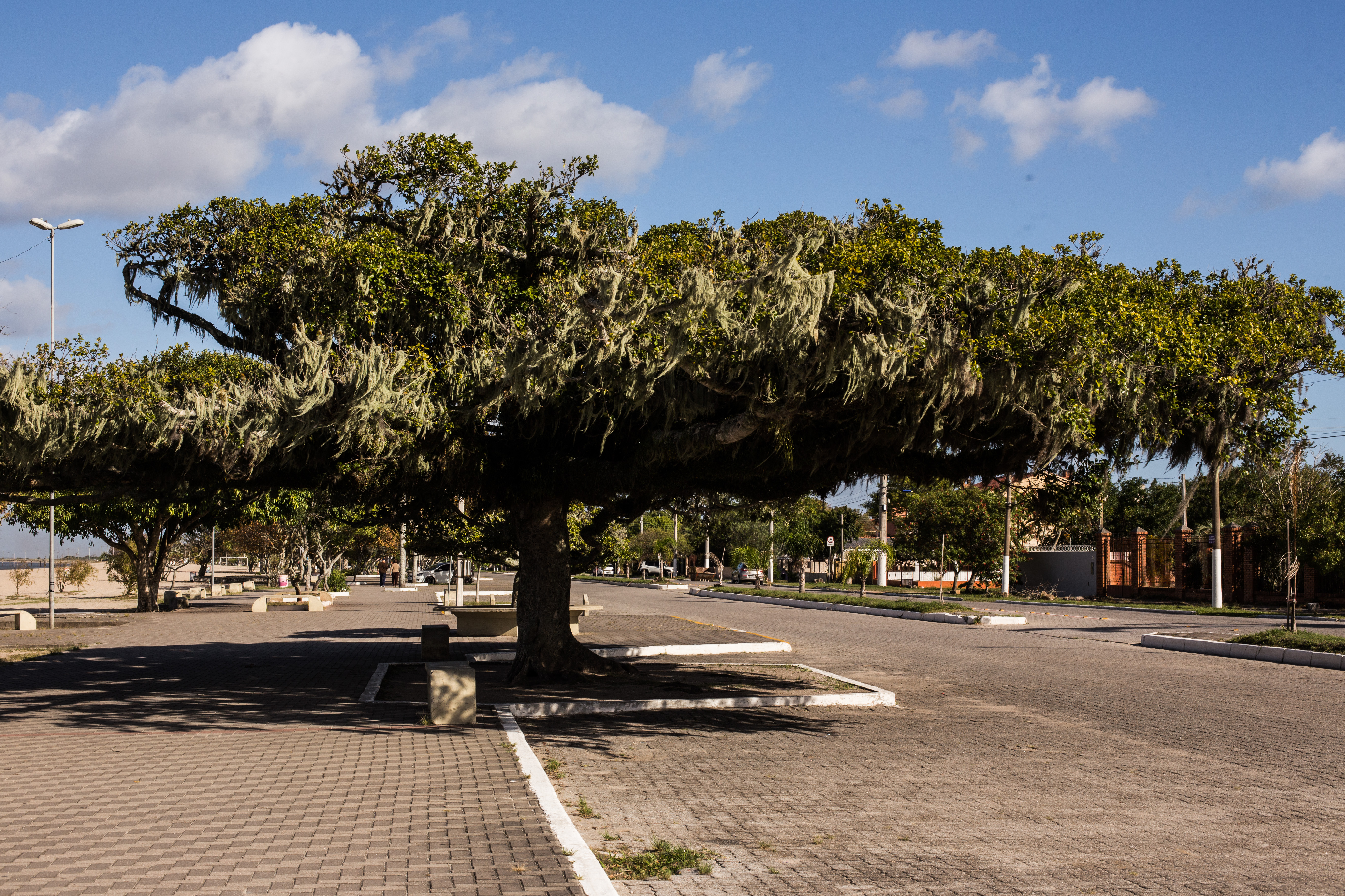 Município esteve acima da média estadual nos sete dias analisados