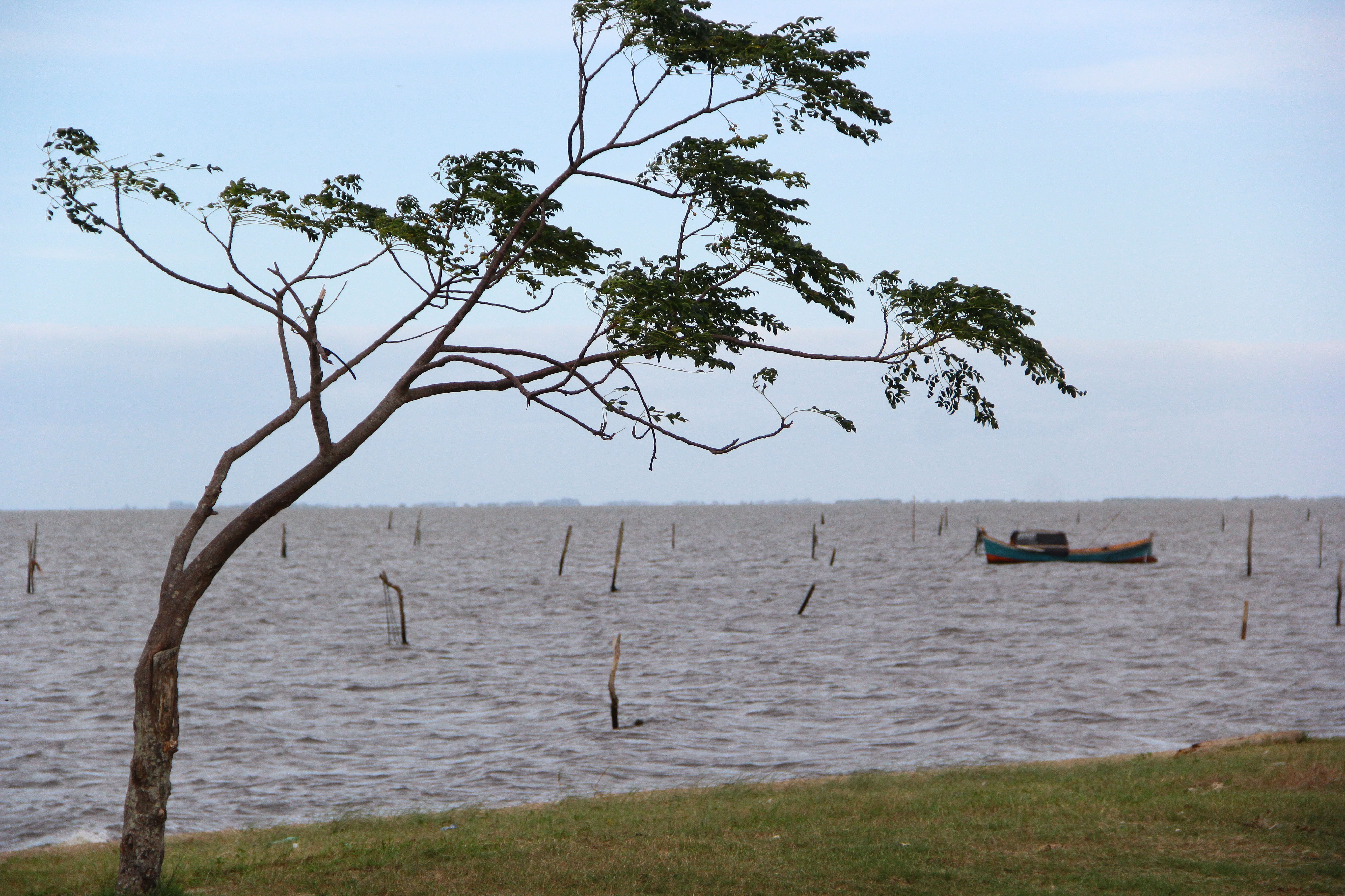 Pescadores da Colônia Z3 encerram atividades nesta quinta-feira (31) e voltam às embarcações dia 1º de outubro