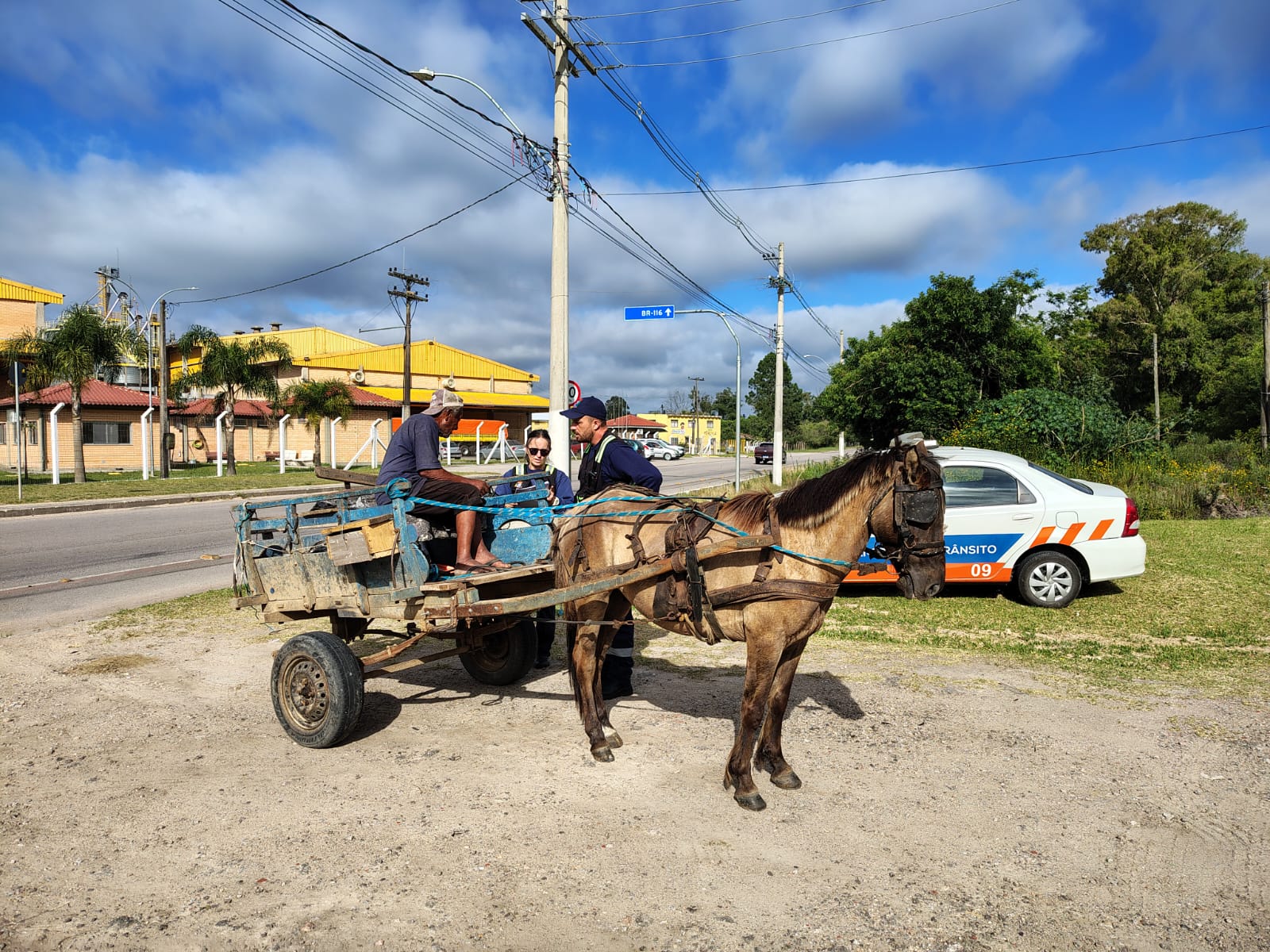 Secretaria de Transporte e Trânsito promove curso de capacitação para condutores de veículos de tração animal