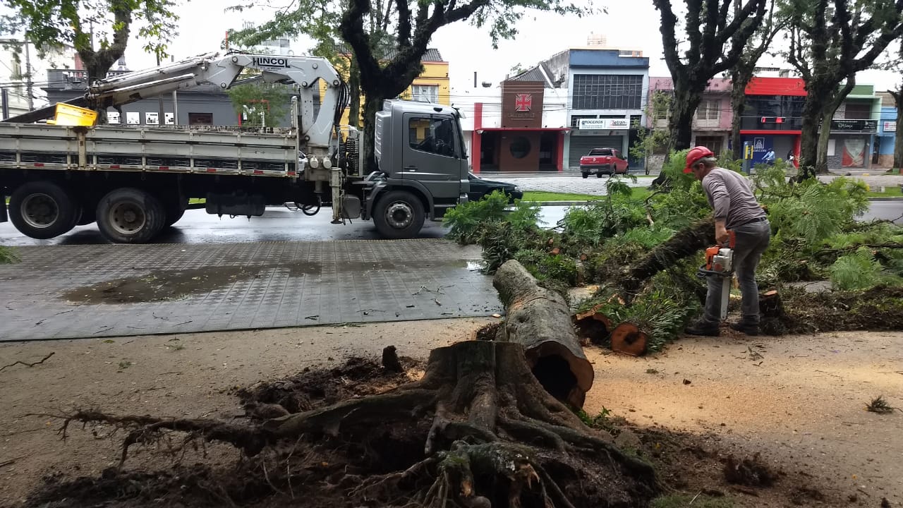 Município já contabilizou 345 mm em 18 dias; número é três vezes o previsto para o mês