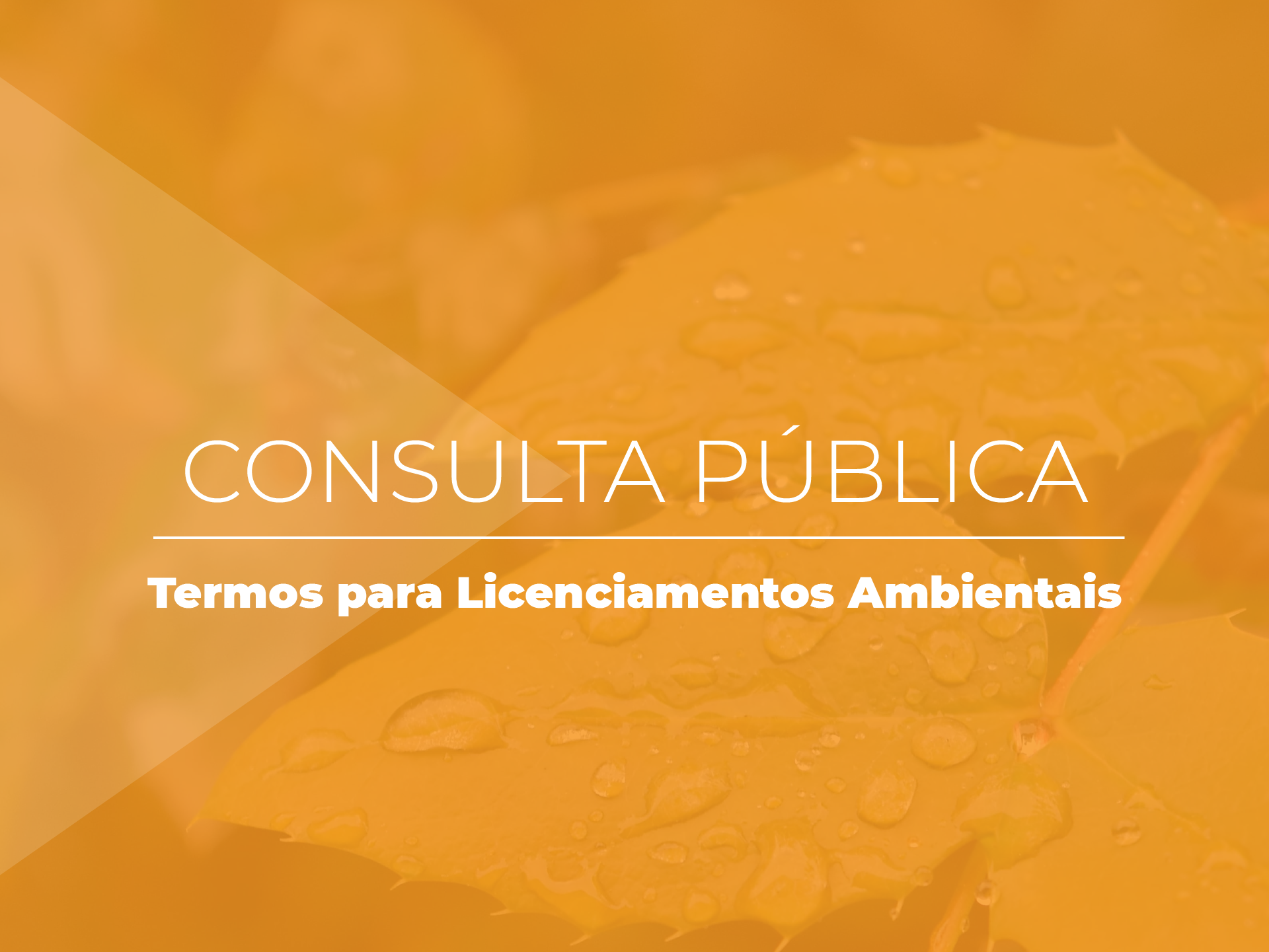 Consulta está disponível até 31 de maio, pelo Sistema Eletrônico de Licenciamento Ambiental, e visa à coleta de informações para a atualização dos Termos de Referência