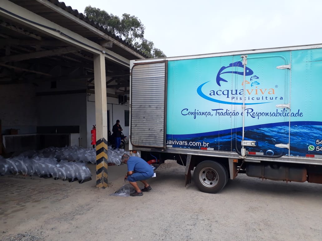 Programa beneficia 66 produtores de 13 espécies de peixes na zona rural
