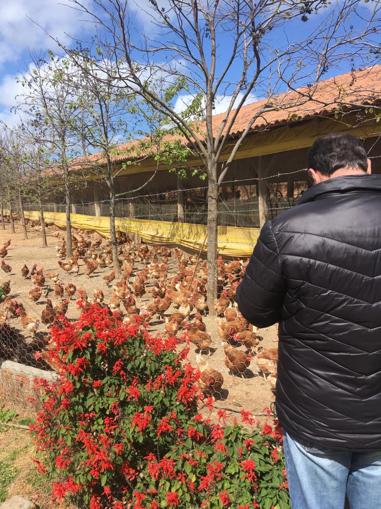 Sete empreendimentos de produtos de origem animal, instalados neste governo, receberam visita técnica