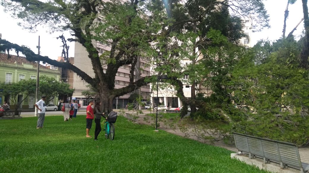 Secretaria aguarda pareceres técnicos para a próxima semana. Laudos apontarão causas e medidas preventivas