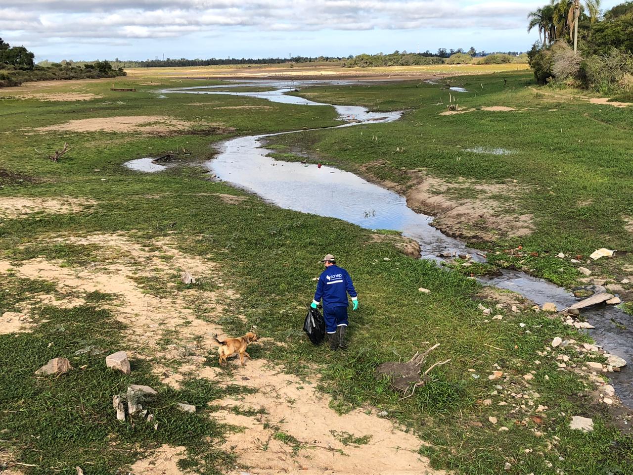 Ação integra série de medidas protetivas e preventivas ao meio ambiente adotadas pela autarquia para o mês de junho