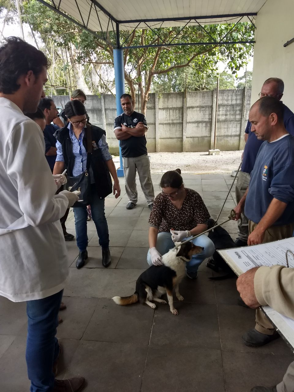 Capacitação de médicos veterinários, agentes de Combate a Endemias e demais servidores ocorreu no Canil Municipal
