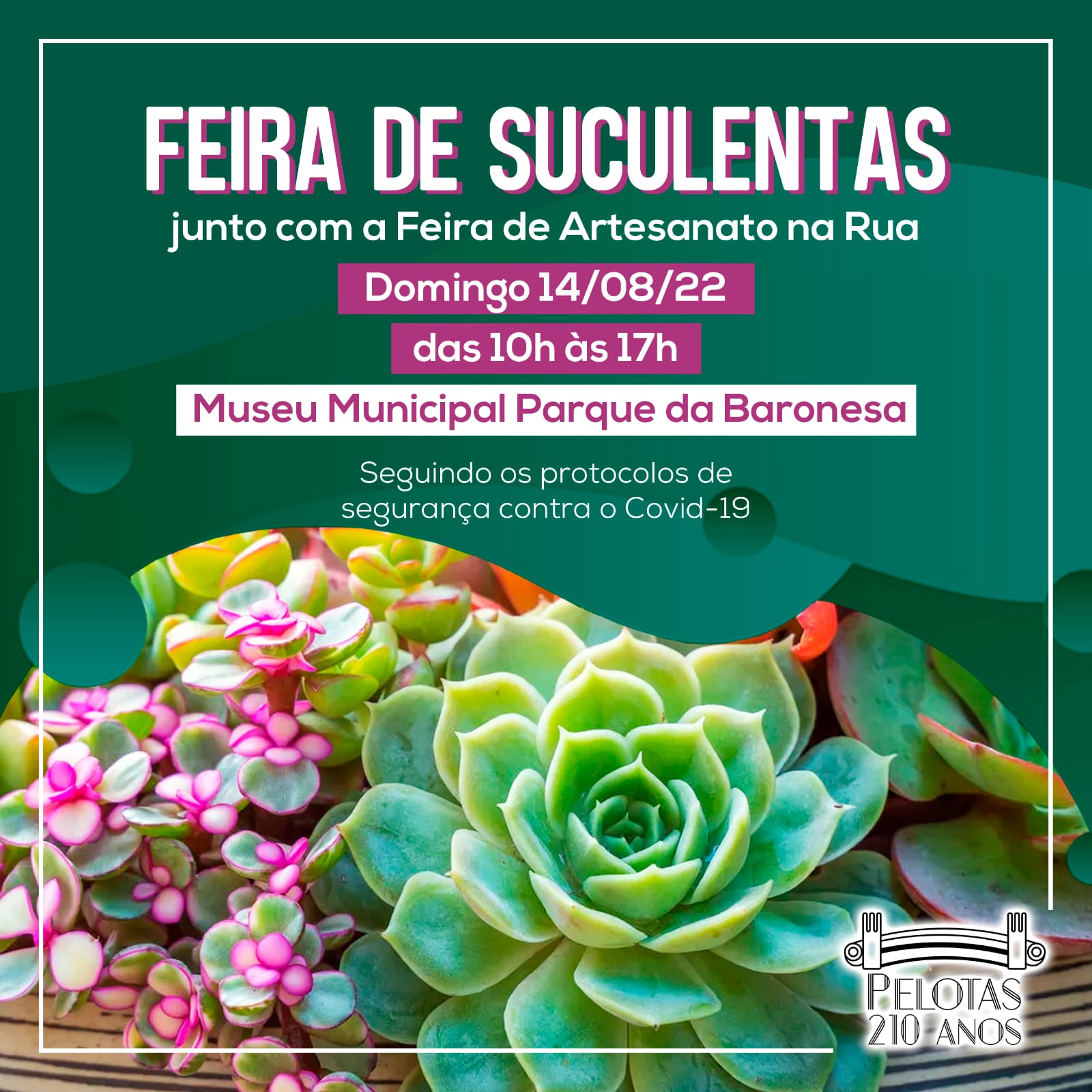 Feira de Artesanato na Rua e Feira de Suculentas será realizada das 10h às 17h