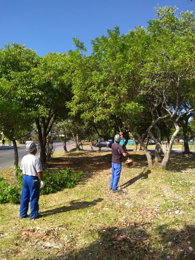 Secretaria de Qualidade Ambiental atende pedidos feitos nos canais de Ouvidoria da Administração municipal