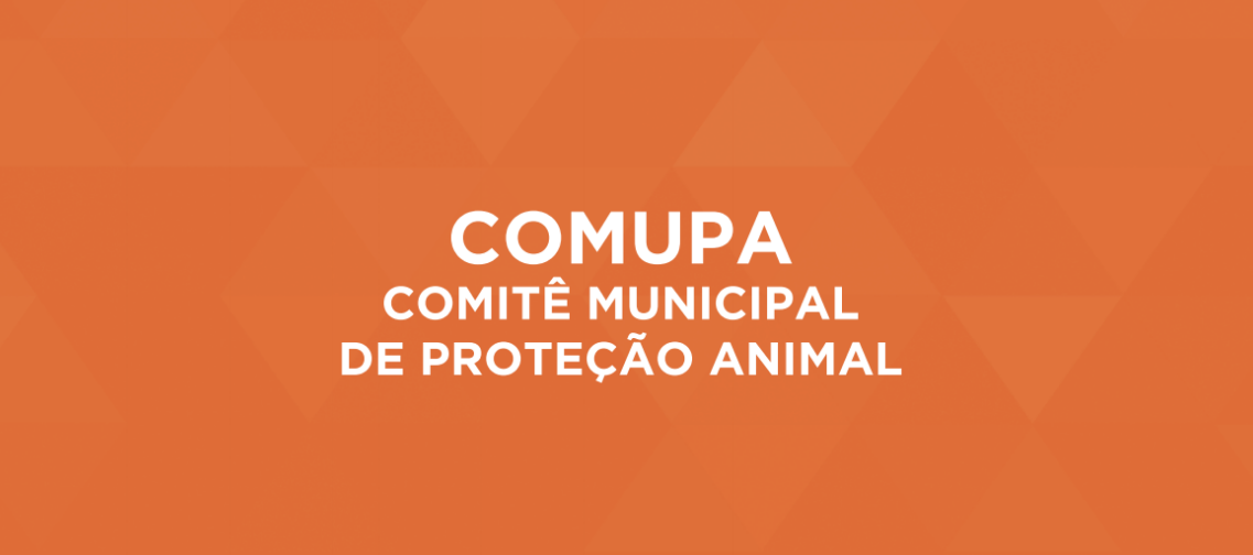 Membros se reuniram no Paço Municipal nesta quinta-feira (20)