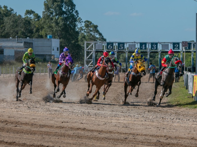 A 88ª edição da principal competição do Jockey Club de Pelotas ocorre neste domingo, com entrada gratuita. A carreira que homenageia o chefe do Executivo pelotense acontece às 15h