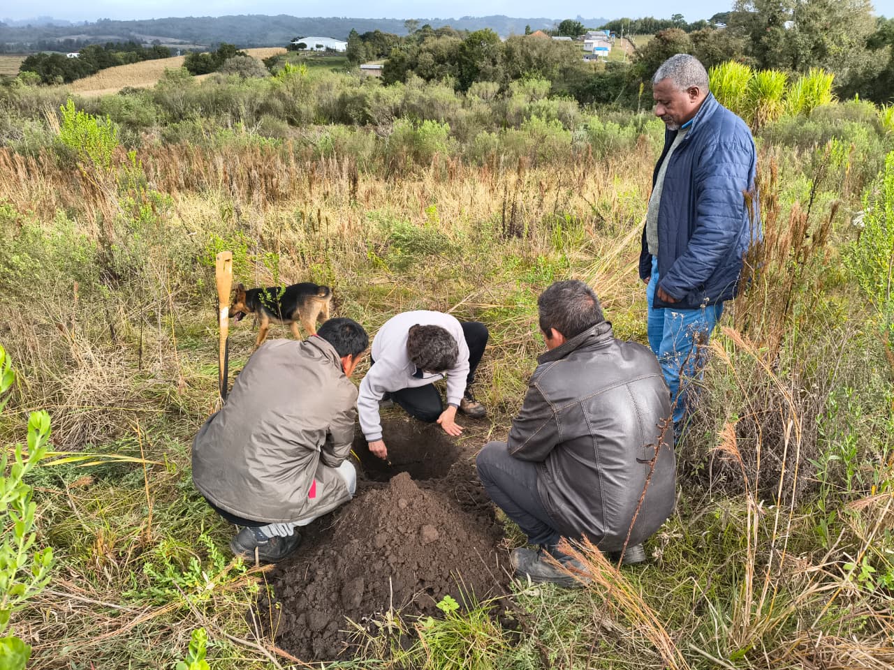 Secretaria de Desenvolvimento Rural (SDR) irá preparar o solo para cultivo de milho e hortaliças por meio do projeto Terra Forte, com acompanhamento técnico da Emater