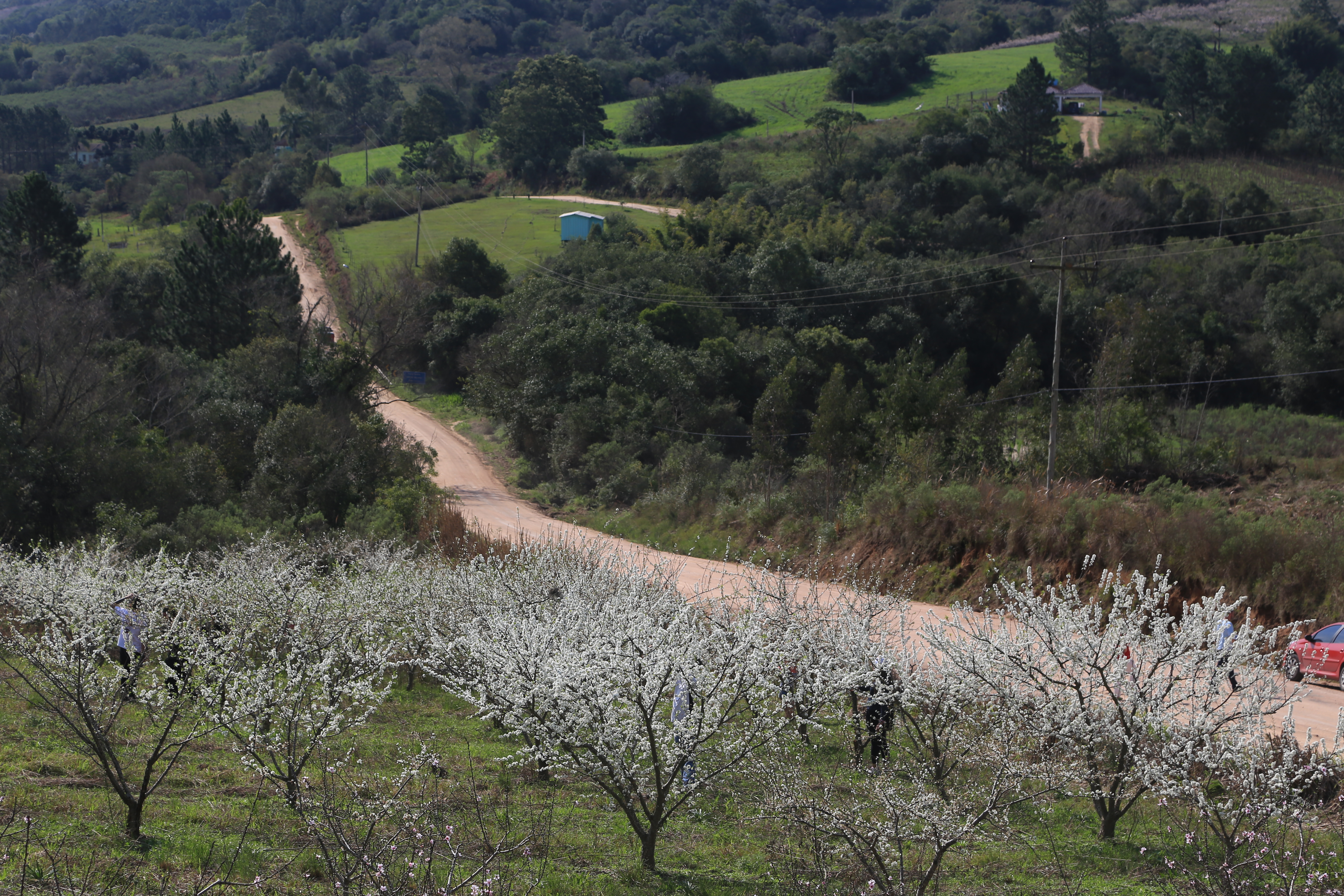 Além de cursos profissionalizantes, Serviço Nacional de Aprendizagem Rural participará da vida rural com tecnologia e assistência técnica