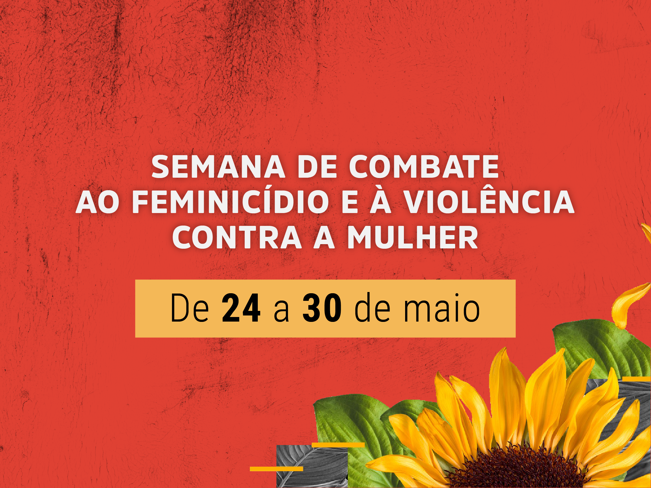 Atividades têm o apoio da Prefeitura. Instituições envolvidas buscam apoio social no enfrentamento à violência contra a mulher