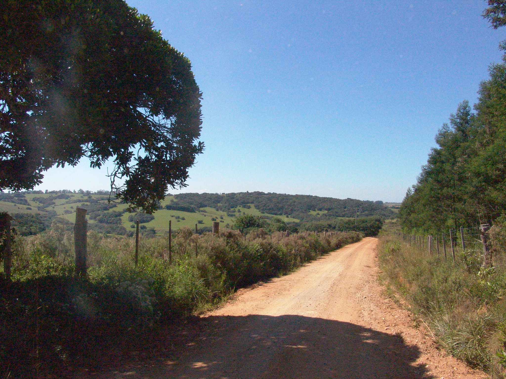 Secretários de Agricultura vão tratar de projetos para a Consulta Popular