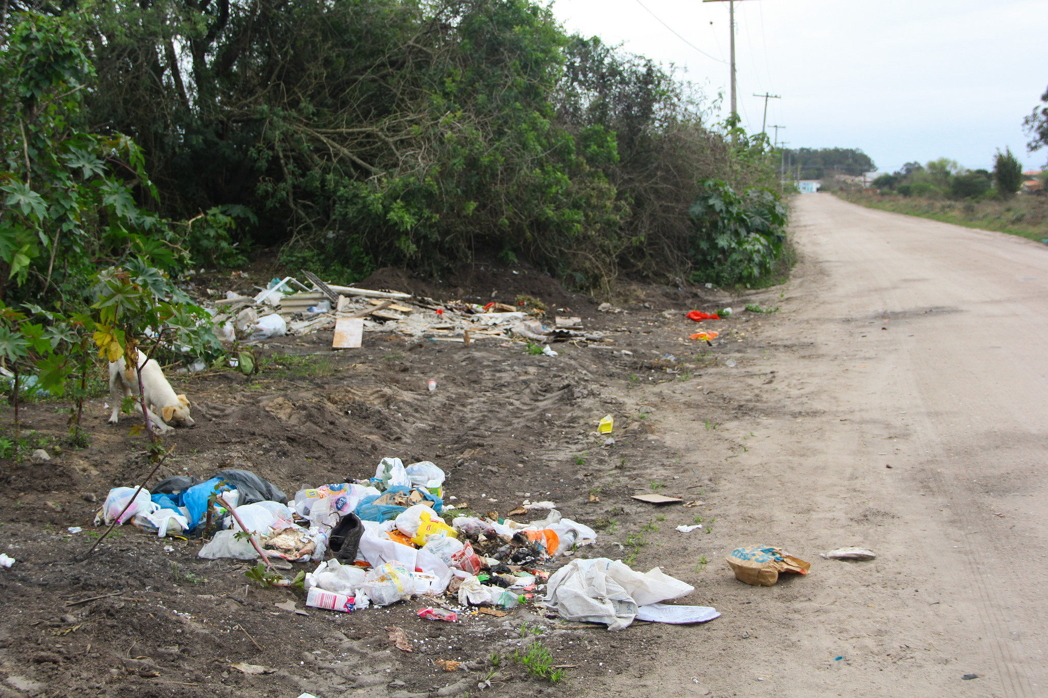 Gravações serão fiscalizadas pela Secretaria de Segurança Pública e as multas aplicadas pela Secretaria de Qualidade Ambiental