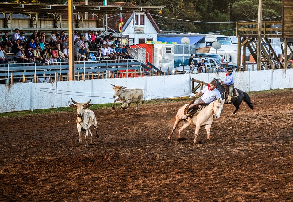 Principal evento campeiro do MTG reunirá 1,8 mil competidores na Associação Rural. Valor mínimo do ingresso é de R$ 5,00