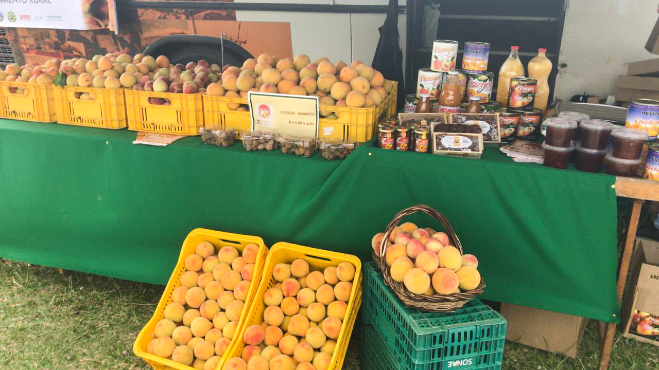 Público encontrará atrações, feira, produtores, artesanato, almoço-dançante, banda, humor e farta gastronomia