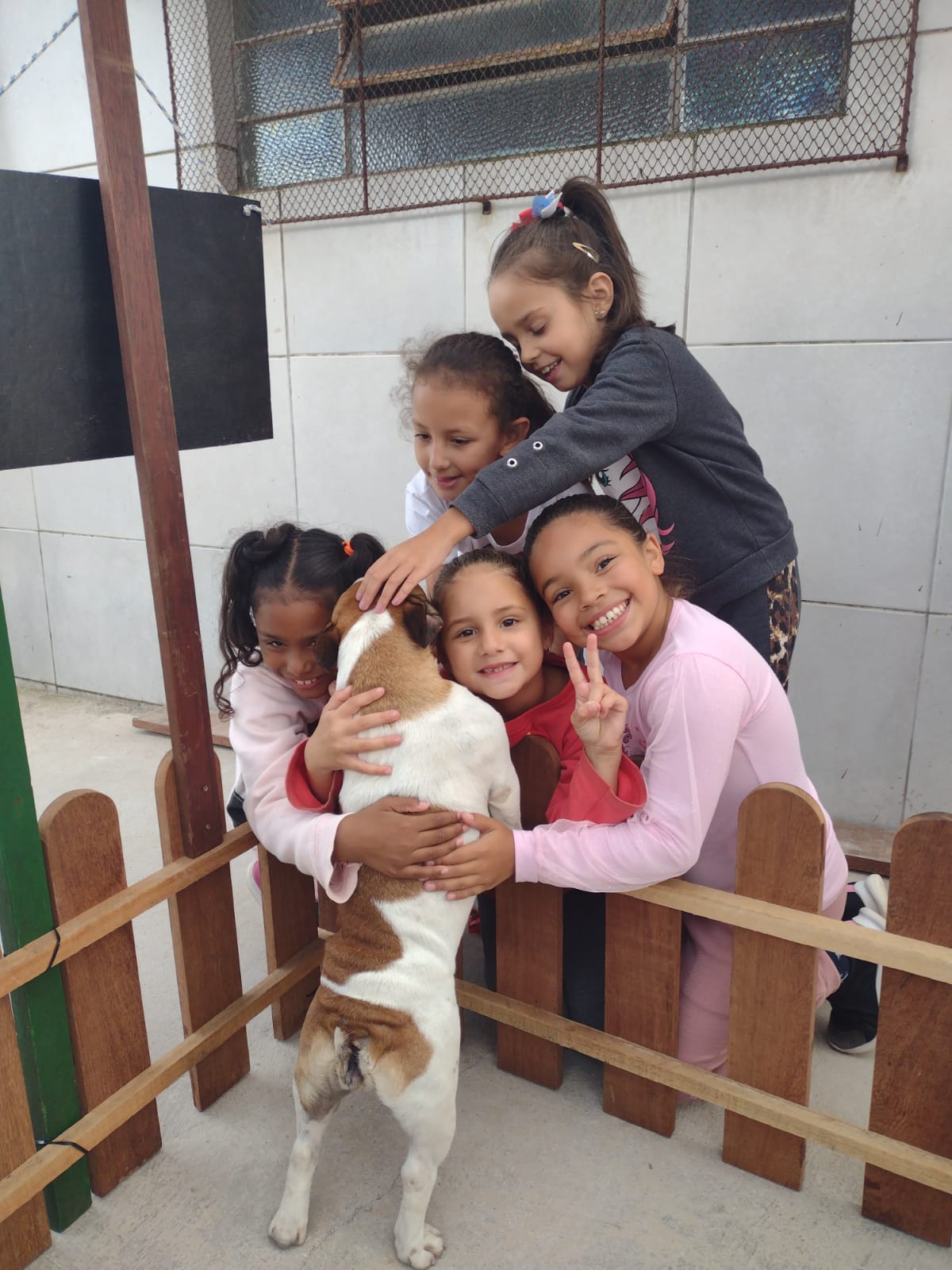 Cães e seus tutores terão diversas atividades na praça Coronel Pedro Osório