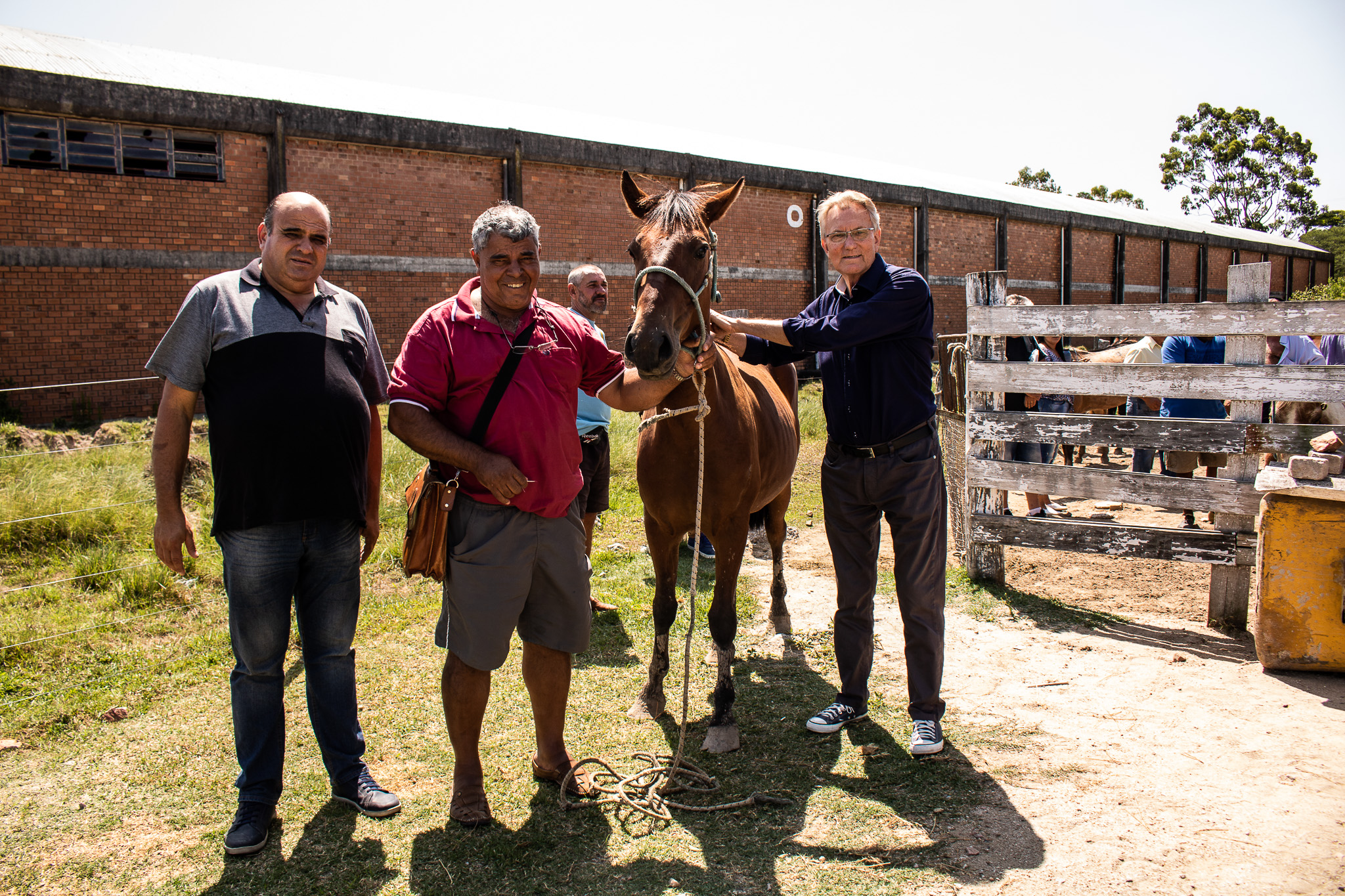 Animais foram encaminhados para novos donos na primeira doação de 2020