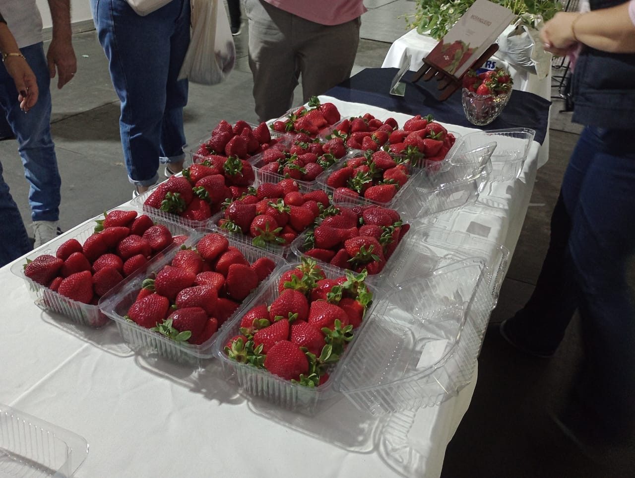 Evento está marcado para os dias 14 e 15 de novembro de 2026 e confirmado no Parque Morada do Sol