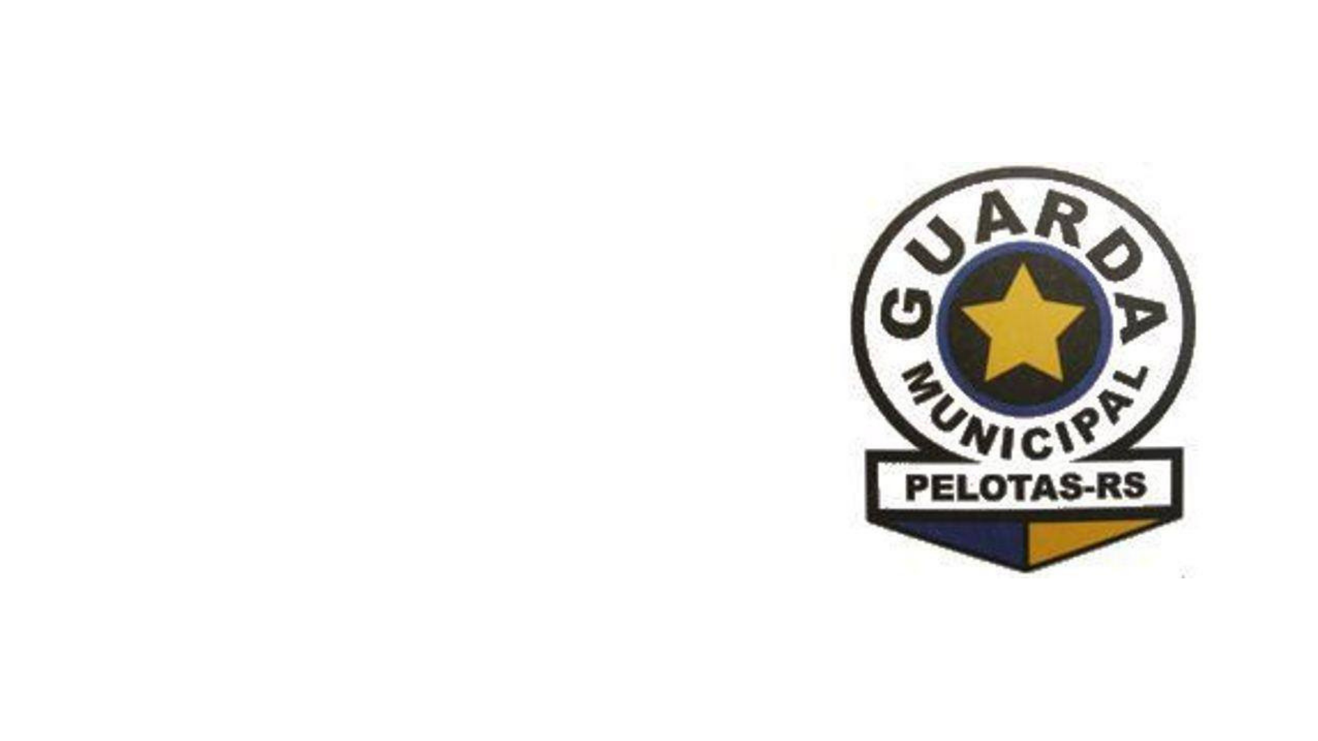 Efetivo encontrou a substância na forração de uma caminhonete durante apoio à ação da Brigada Militar