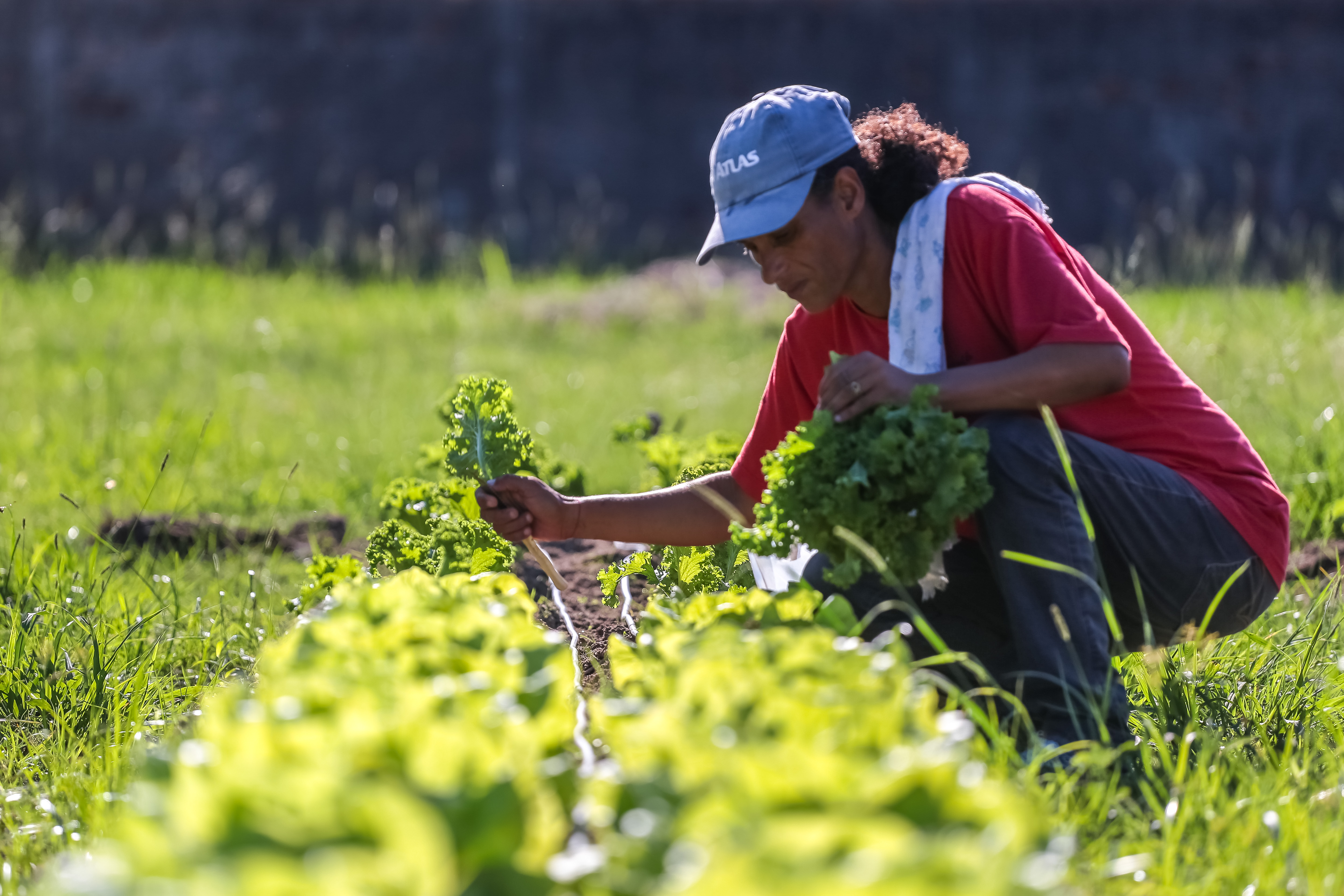 Projeto do Cras São Gonçalo oportuniza alimentação saudável a famílias vulneráveis socioeconomicamente