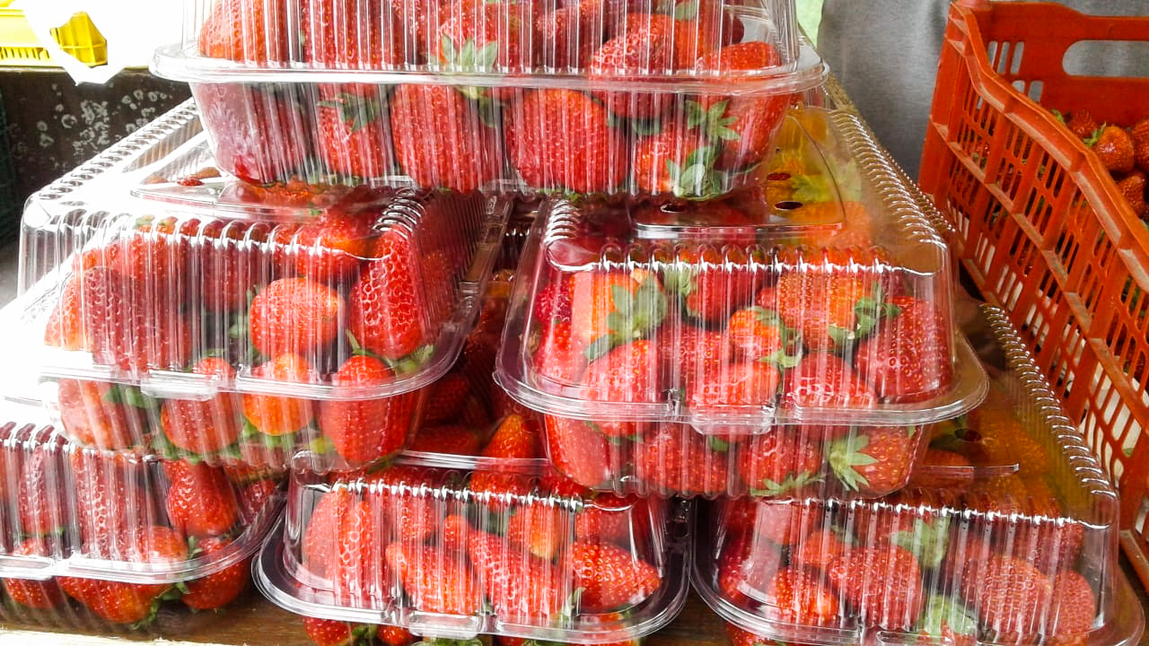 População ainda tem alternativas para continuar comprando  diretamente dos produtores