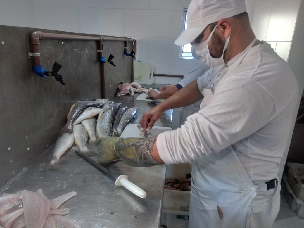 Verdes Mares Indústria de Pescados inicia atividades no bairro Três Vendas
