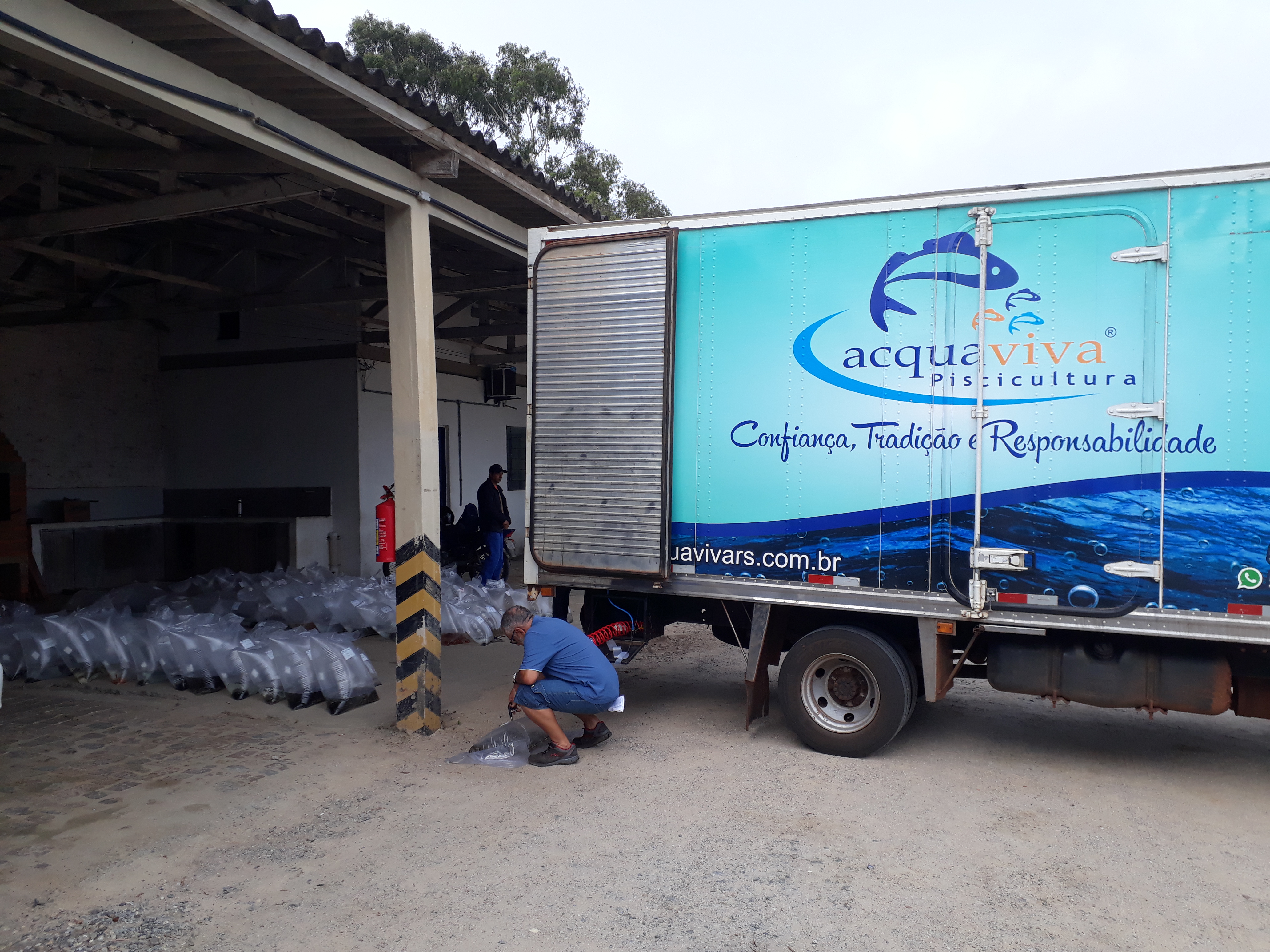 Produtores interessados devem procurar a Secretaria de Desenvolvimento Rural ou as administrações distritais